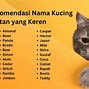 Nama Anak Kucing Yang Lucu Lucu